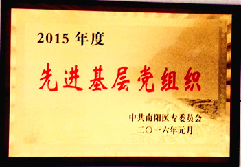 先进党组织2015